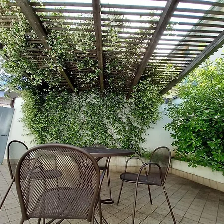 Open Space Centro Lejlighed *